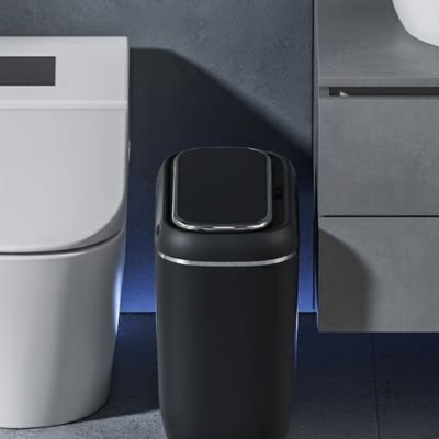 poubelles de salle de bain noire droite wc gauche lavabo